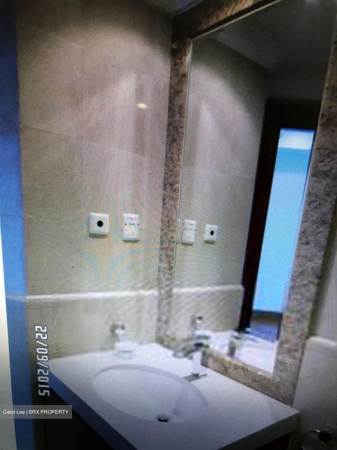 Valley Park (D10), Condominium #613873501